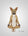 SpiritualPooch - Home